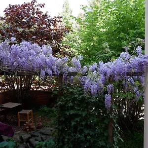 Elbe Garden Paradise Apartment